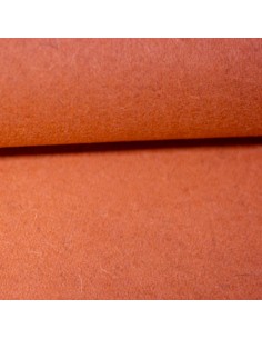 Paño coral ( 25 cms )