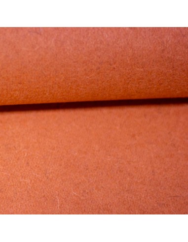 Paño coral ( 25 cms )