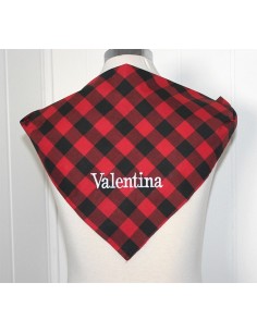 Cachirulo con nombre 2